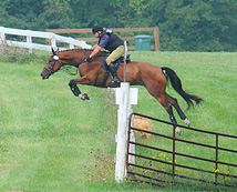 Horse Jumping